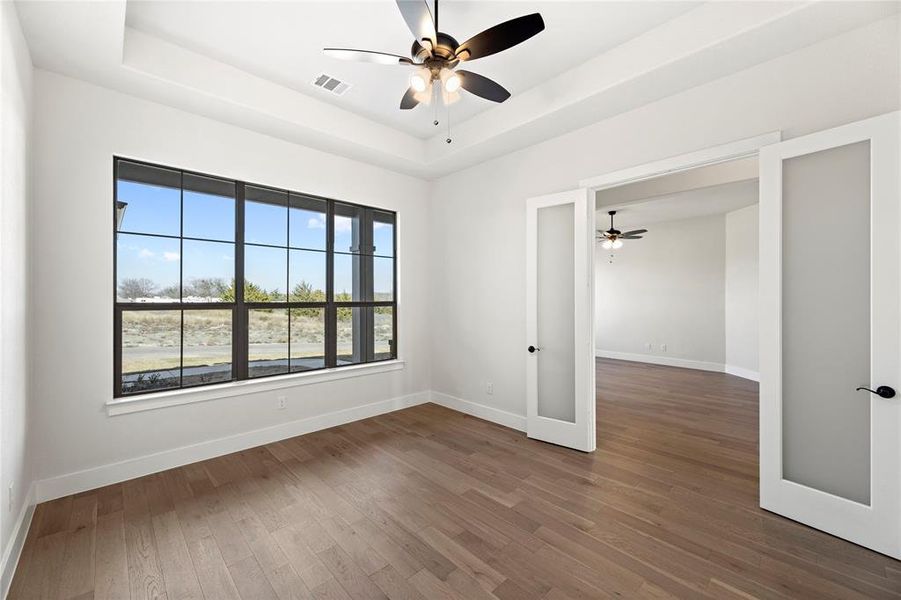 Spare room with a raised ceiling, plenty of natural light, and dark hardwood / wood-style floors