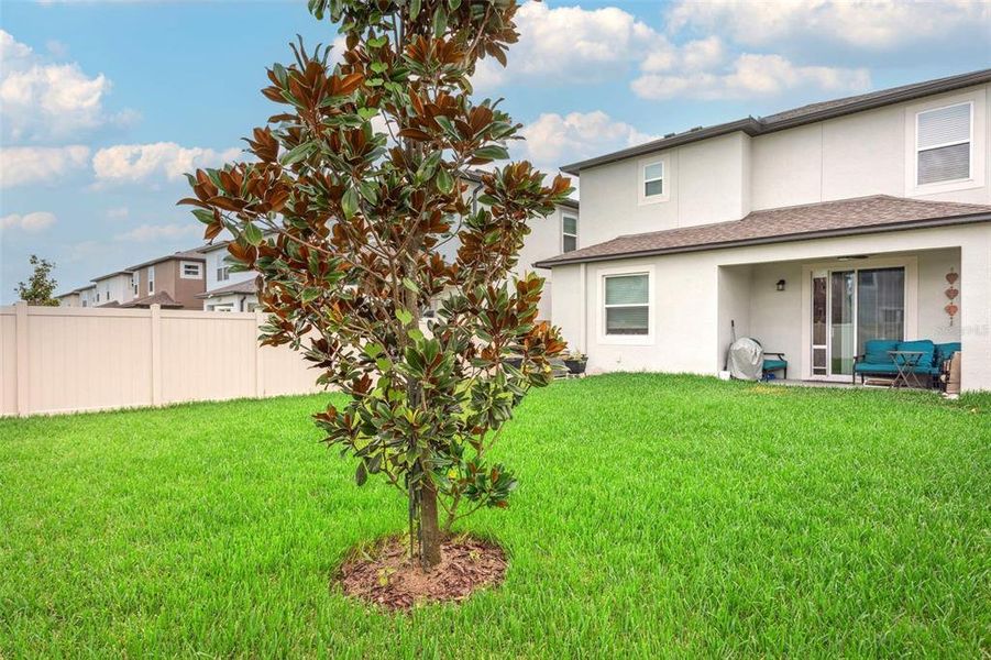 Image 25 of a home in Cobblestone.