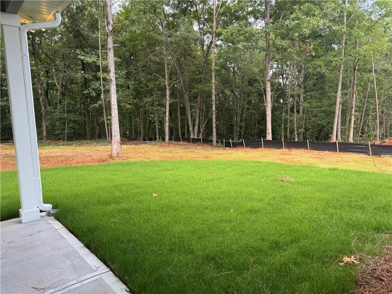 Exterior details and patio area of a home in The Fields of Walnut Creek, Pendergrass (Image 22).