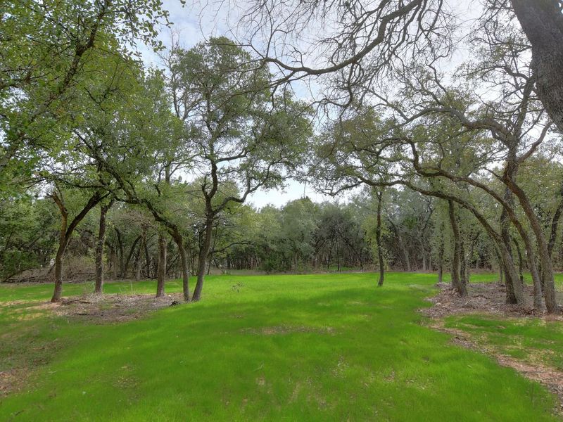 Outdoor and nature views near homes built from the Siena II by Giddens Homes in Clearwater Ranch, Liberty Hill (Image 177).