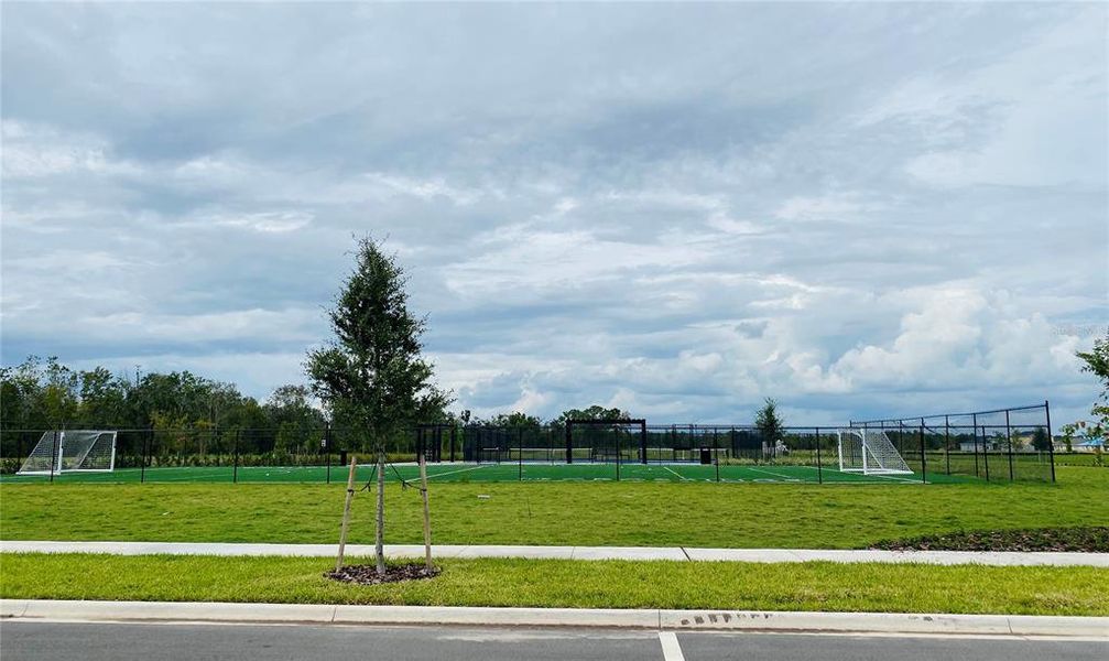 Image 11 of a home in The Crossings.