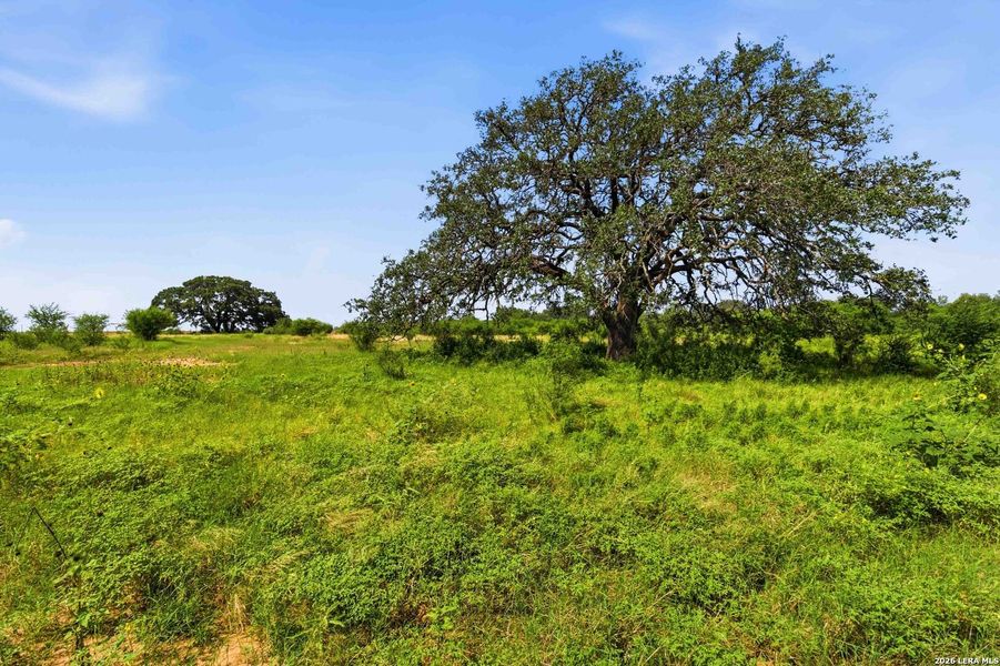 Natural landscape and outdoor views near  in Sabinal (Image 78).
