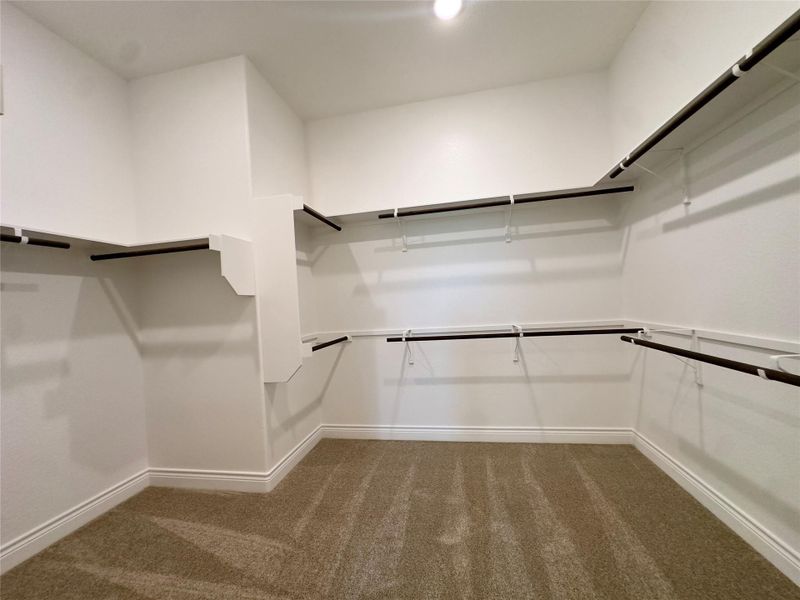 Walk in closet with light colored carpet