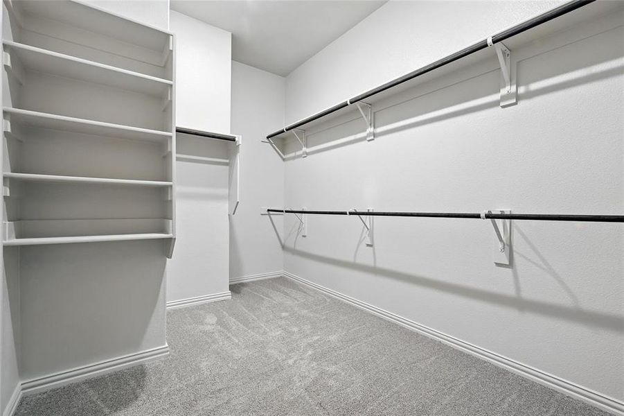 Spacious closet featuring carpet floors Spacious closet featuring carpet floors