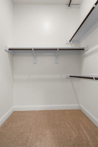 Spacious, unfurnished interior of a new home in , Garland (Image 23).