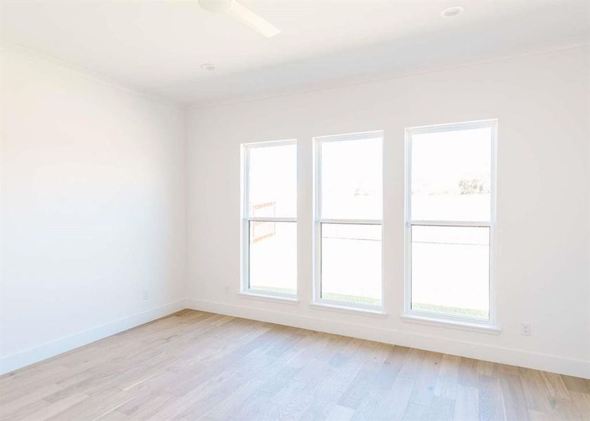 Spare room with ceiling fan, light wood-type flooring, and a healthy amount of sunlight