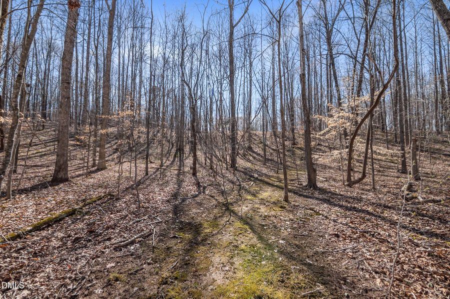 53-web-or-mls-P1112042