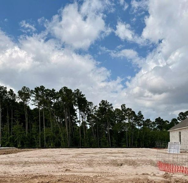 Site preparation for new homesites in The Meadows at Imperial Oaks, Spring (Image 6). Site preparation for new homesites in The Meadows at Imperial Oaks, Spring (Image 6).