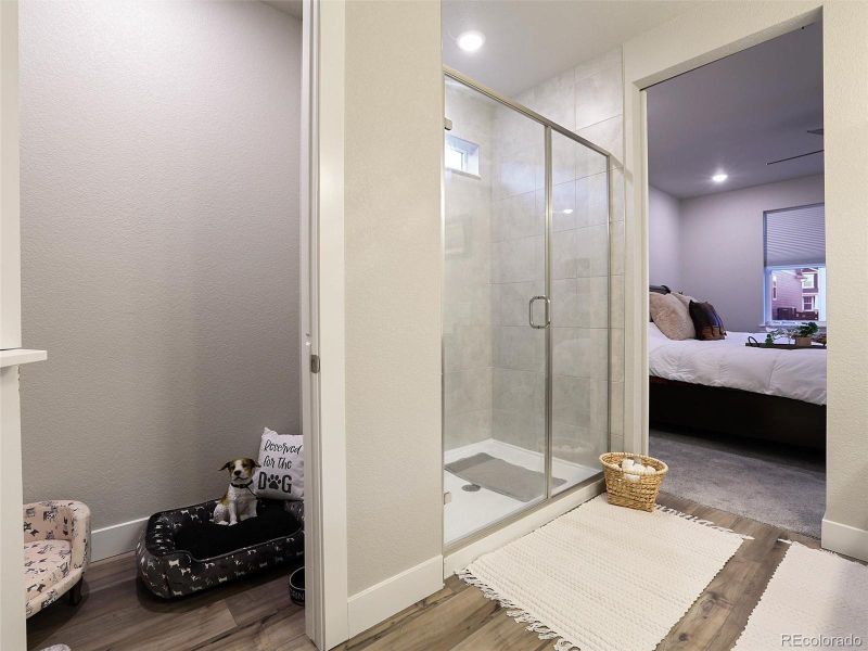 View of dog kennel or flex space