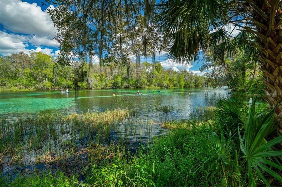 Natural landscape and outdoor views near Grand Park North in Dunnellon (Image 82).