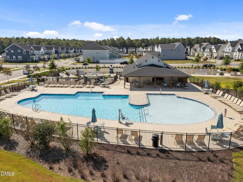 030_WF6 Community Pool - Medium