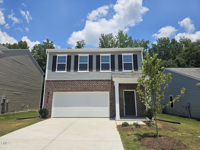 1000019355 1000019355