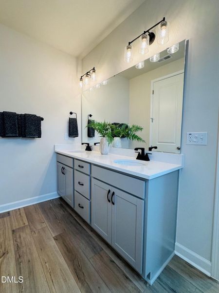 Holden 50 primary bath vanity