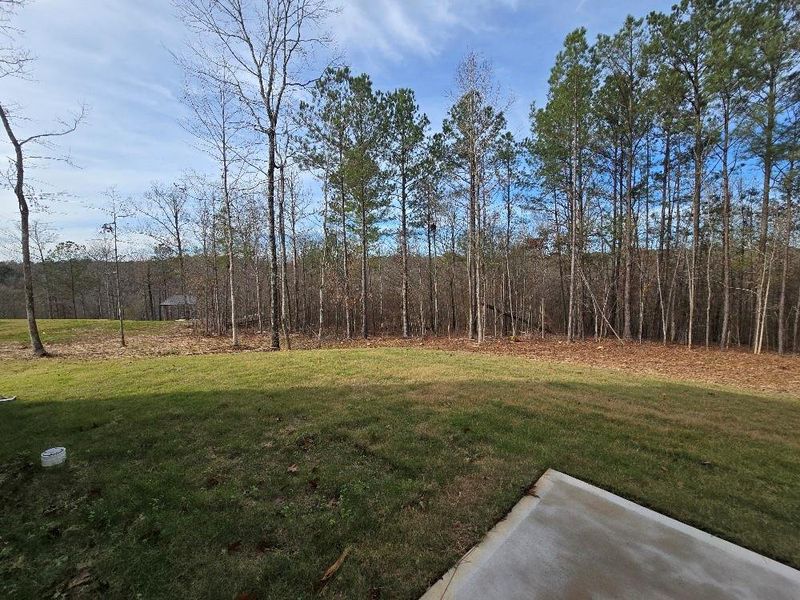 Natural landscape and outdoor views near Waters Edge in Mansfield (Image 34).