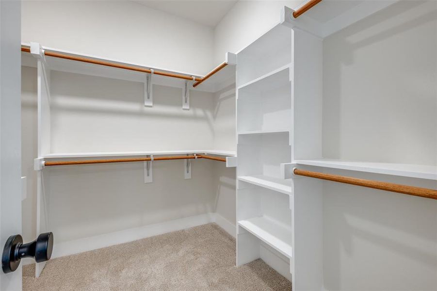 Walk in closet with light colored carpet