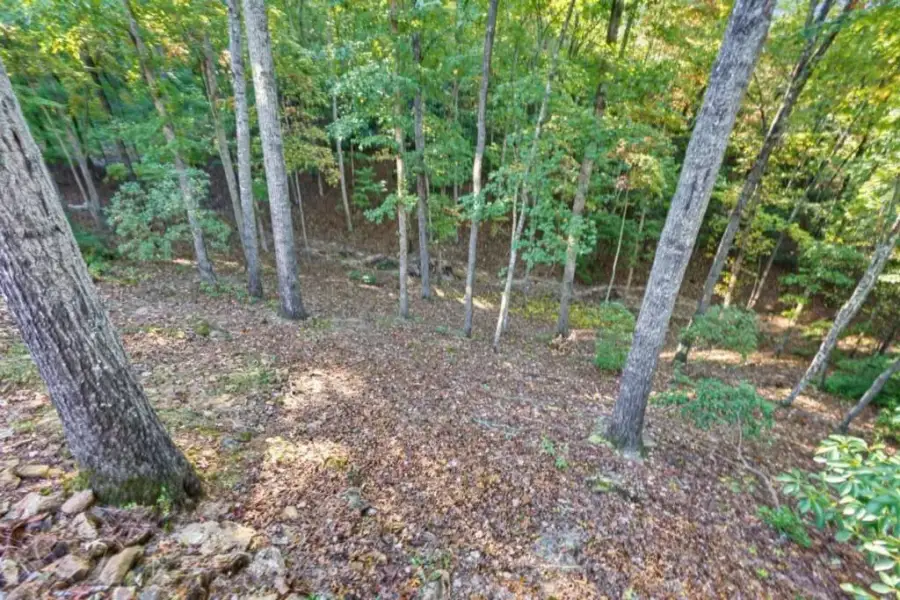 Natural landscape and outdoor views near  in Blue Ridge (Image 45).