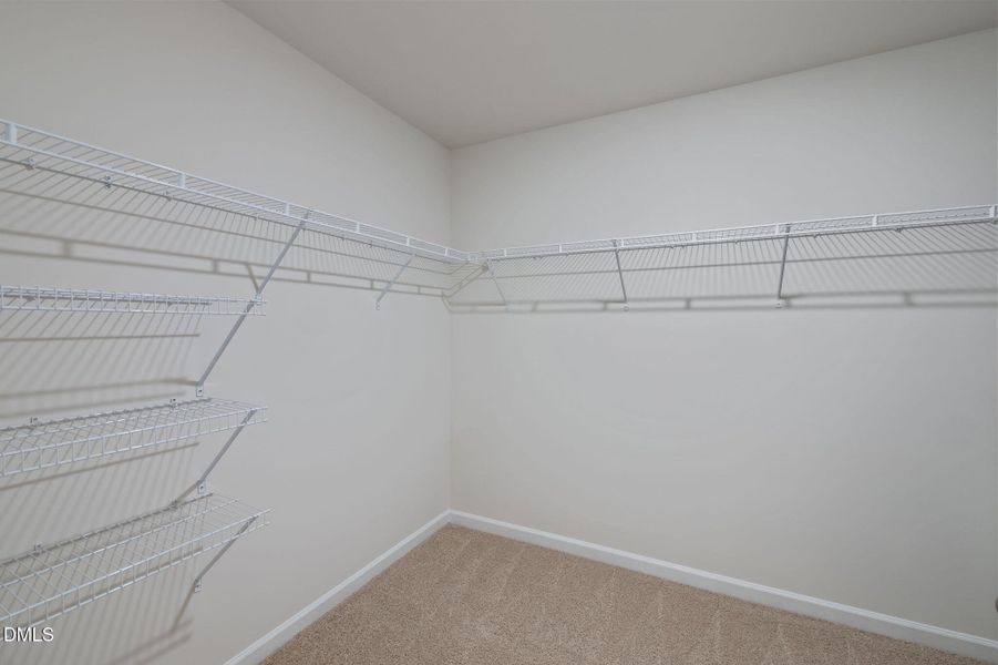 44-web-or-mls-P1110726