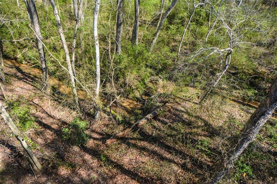 Natural landscape and outdoor views near  in Winder (Image 57).
