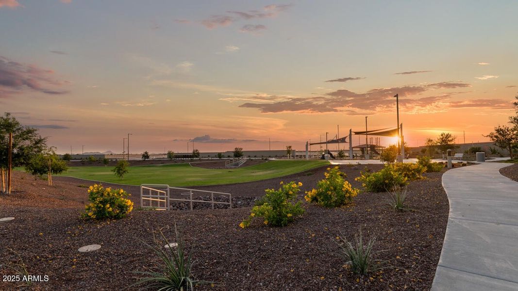 Community Photos_Copper Falls_Buckeye_AZ Community Photos_Copper Falls_Buckeye_AZ