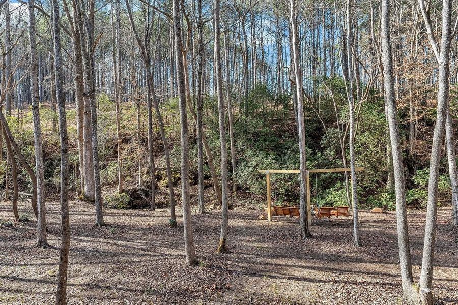 Natural landscape and outdoor views near  in Talking Rock (Image 37).