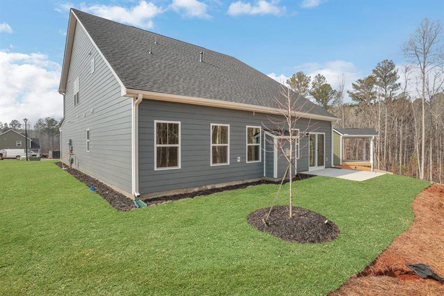 Exterior details and patio area of a home in Crystal Falls, Dawsonville (Image 3).