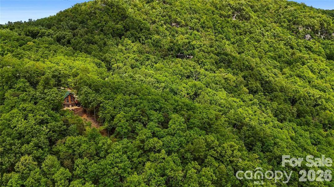 Natural landscape and outdoor views near  in Lake Lure (Image 30).