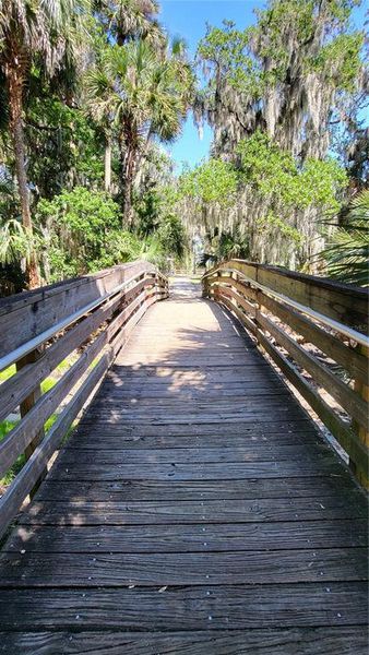 Natural landscape and outdoor views near in Debary (Image 38). Natural landscape and outdoor views near in Debary (Image 38).