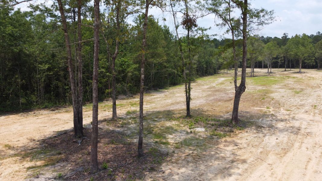 Natural landscape and outdoor views near in Huger (Image 13). Natural landscape and outdoor views near in Huger (Image 13).