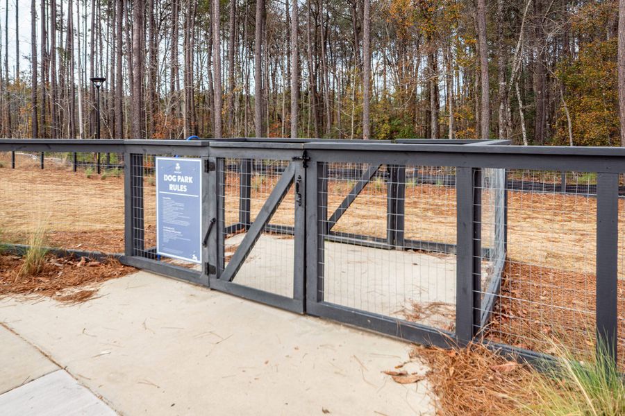 Community amenities in Hammock Walk at Nexton, Summerville (Image 39).
