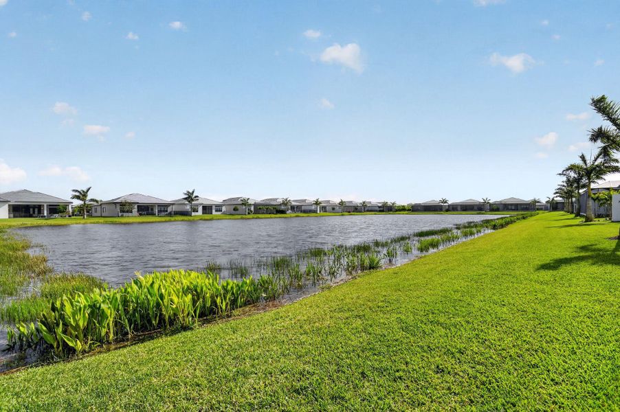 78-web-or-mls-DSC_3781