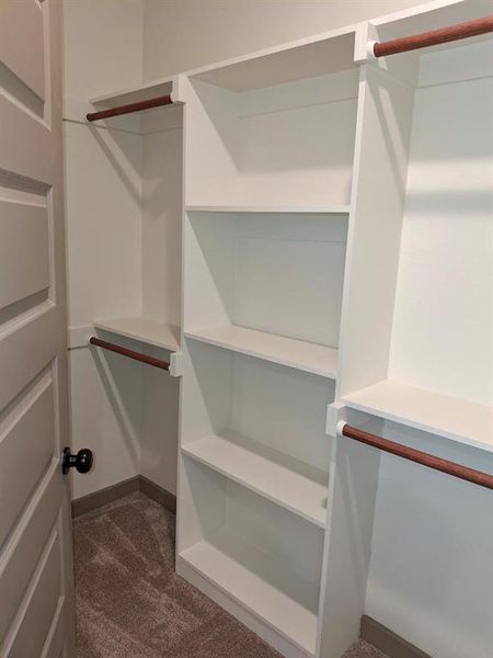 Spacious closet featuring dark colored carpet Spacious closet featuring dark colored carpet