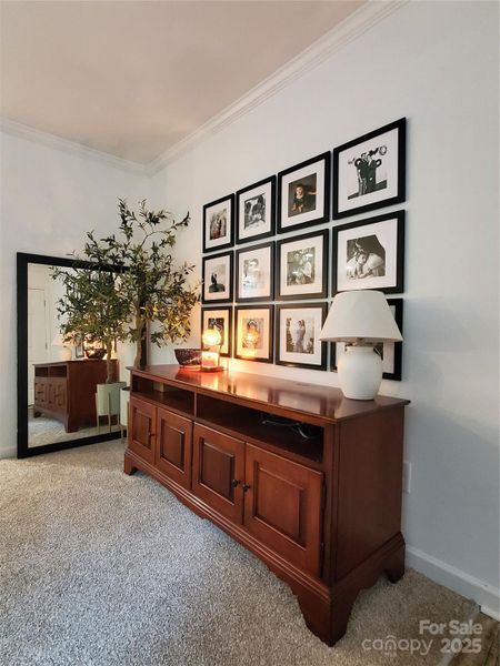 Furnished interior view inside a new home in , Olin (Image 15).