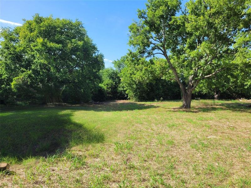 View of green lawn View of green lawn
