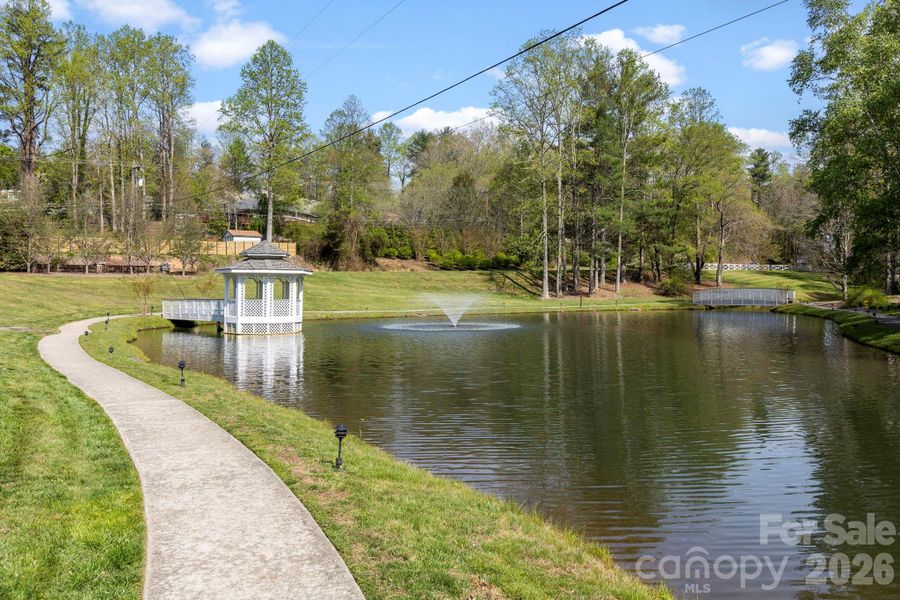 Natural landscape and outdoor views near  in Hendersonville (Image 31).