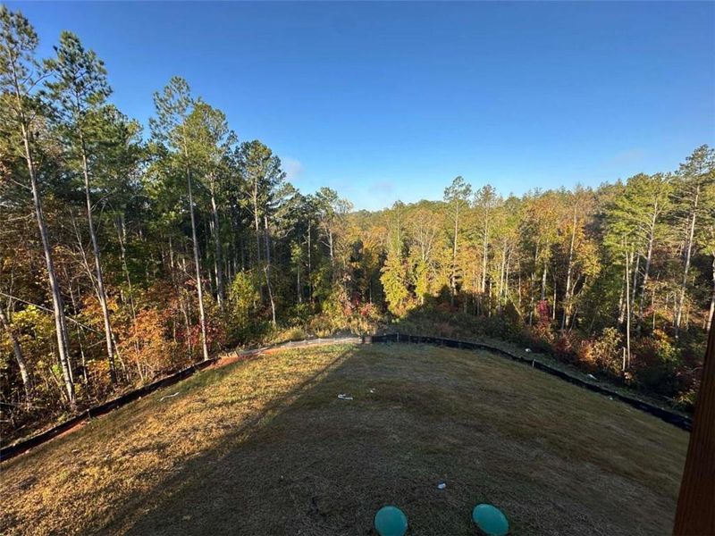 Natural landscape and outdoor views near  in Talking Rock (Image 30).