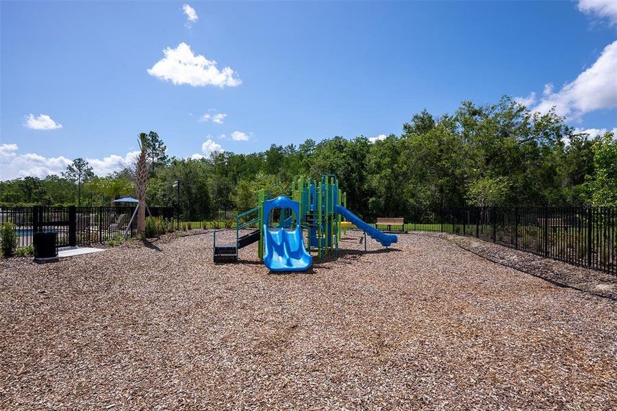 Community amenities in The Townhomes at Westview, Kissimmee (Image 16).