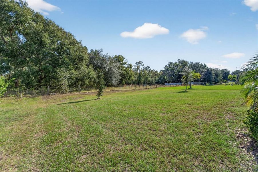 Natural landscape and outdoor views near Creek Ridge Preserve in Lithia (Image 75). Natural landscape and outdoor views near Creek Ridge Preserve in Lithia (Image 75).