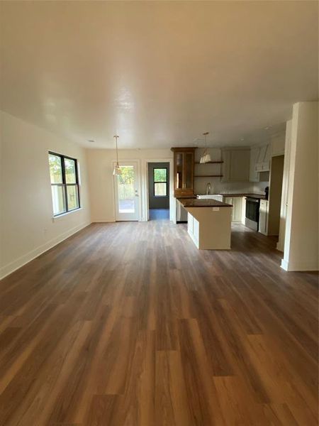 Unfurnished living room featuring sink and dark wood-type flooring