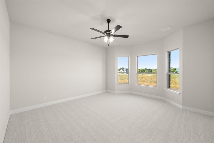 Master Bedroom with lots of room, ceiling fan, and Bay windows!
