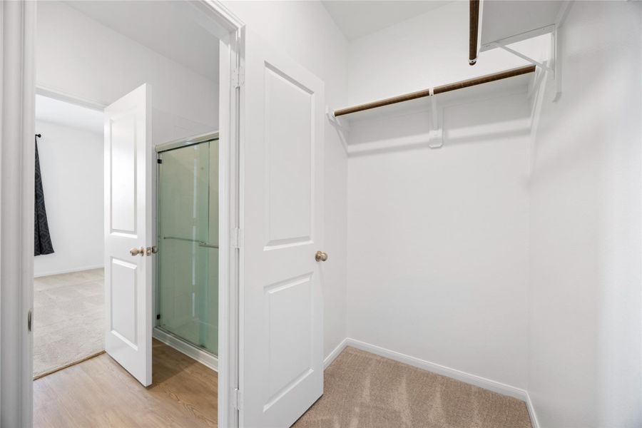 carpeted walk-in closet with a wooden rod for hanging clothes. It connects to a room with wood flooring and a glass-enclosed shower. The area is bright and well-maintained.