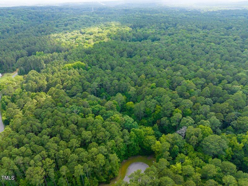 005-105Pennington-Lot64-Windfall-2025061 005-105Pennington-Lot64-Windfall-2025061