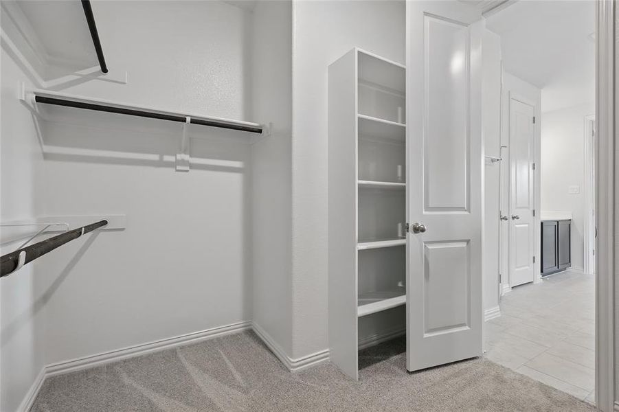 Spacious closet featuring light carpet