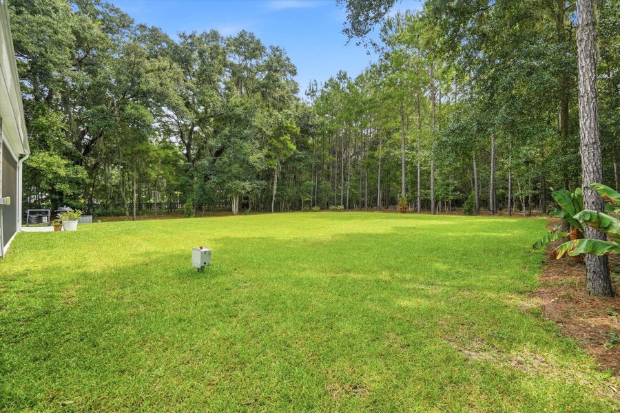 Natural landscape and outdoor views near in Johns Island (Image 64). Natural landscape and outdoor views near in Johns Island (Image 64).