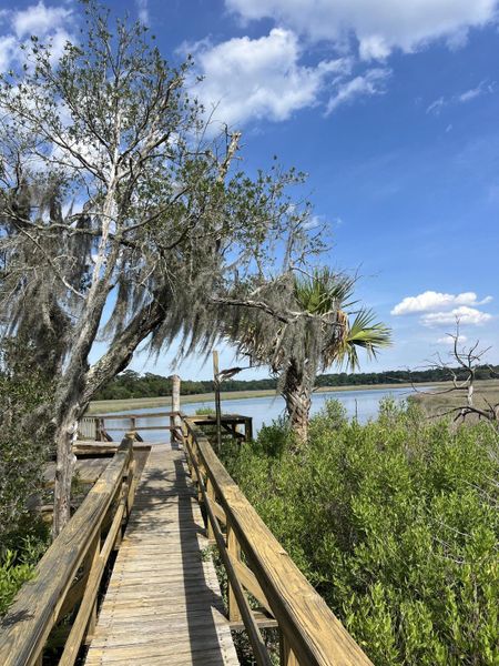 Natural landscape and outdoor views near in Seabrook (Image 86). Natural landscape and outdoor views near in Seabrook (Image 86).