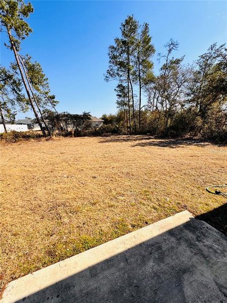 Natural landscape and outdoor views near  in Ocala (Image 13).