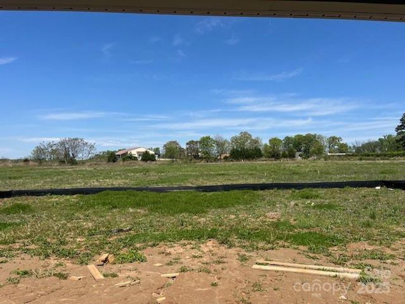 Backyard- .97 acres!