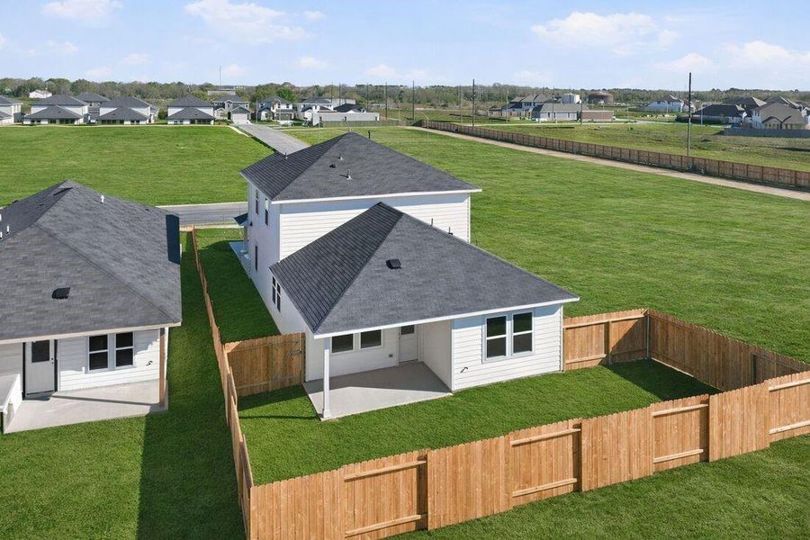 26707 Celestial Cypress ~ Ready Now