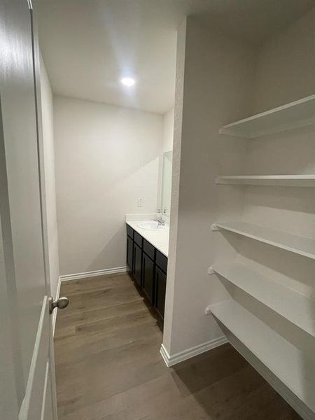 Bathroom featuring vanity and wood-type flooring