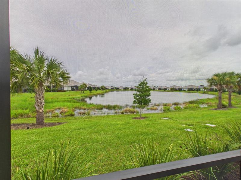 Natural landscape and outdoor views near in Sarasota (Image 72). Natural landscape and outdoor views near in Sarasota (Image 72).