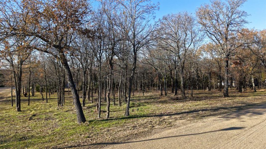 Spacious lot offering many options for outdoor living amenities.